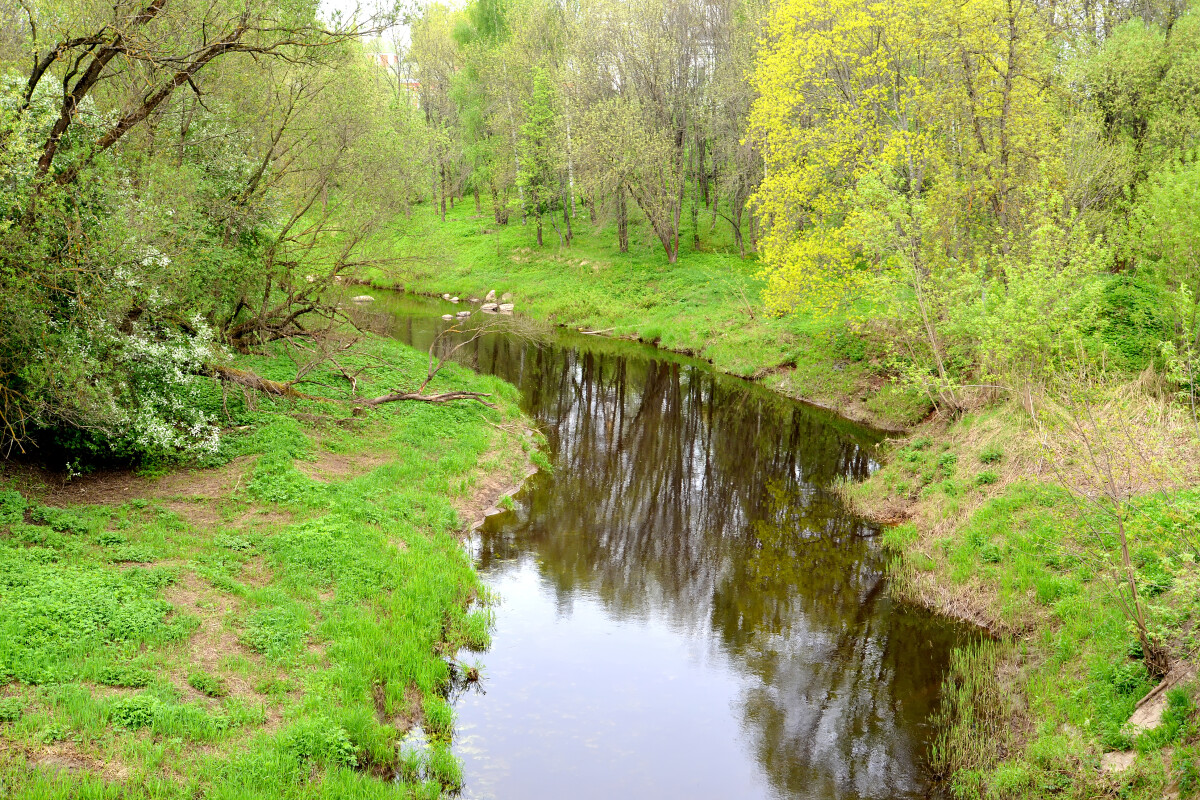 Речная корова весенним днем. Рыбинск, Ярославская область