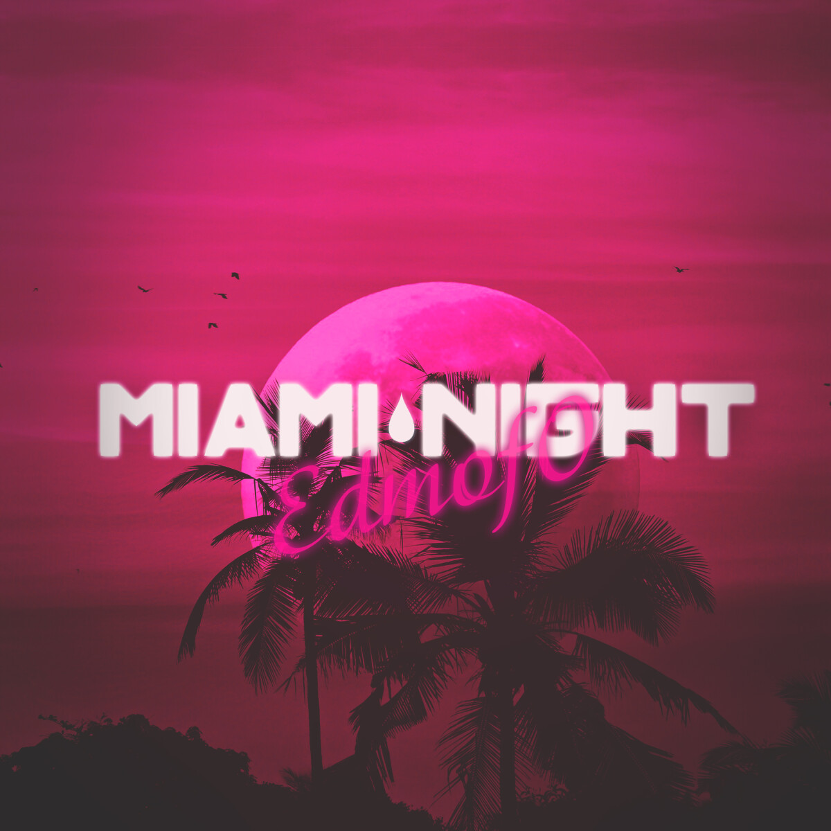 Miami Night