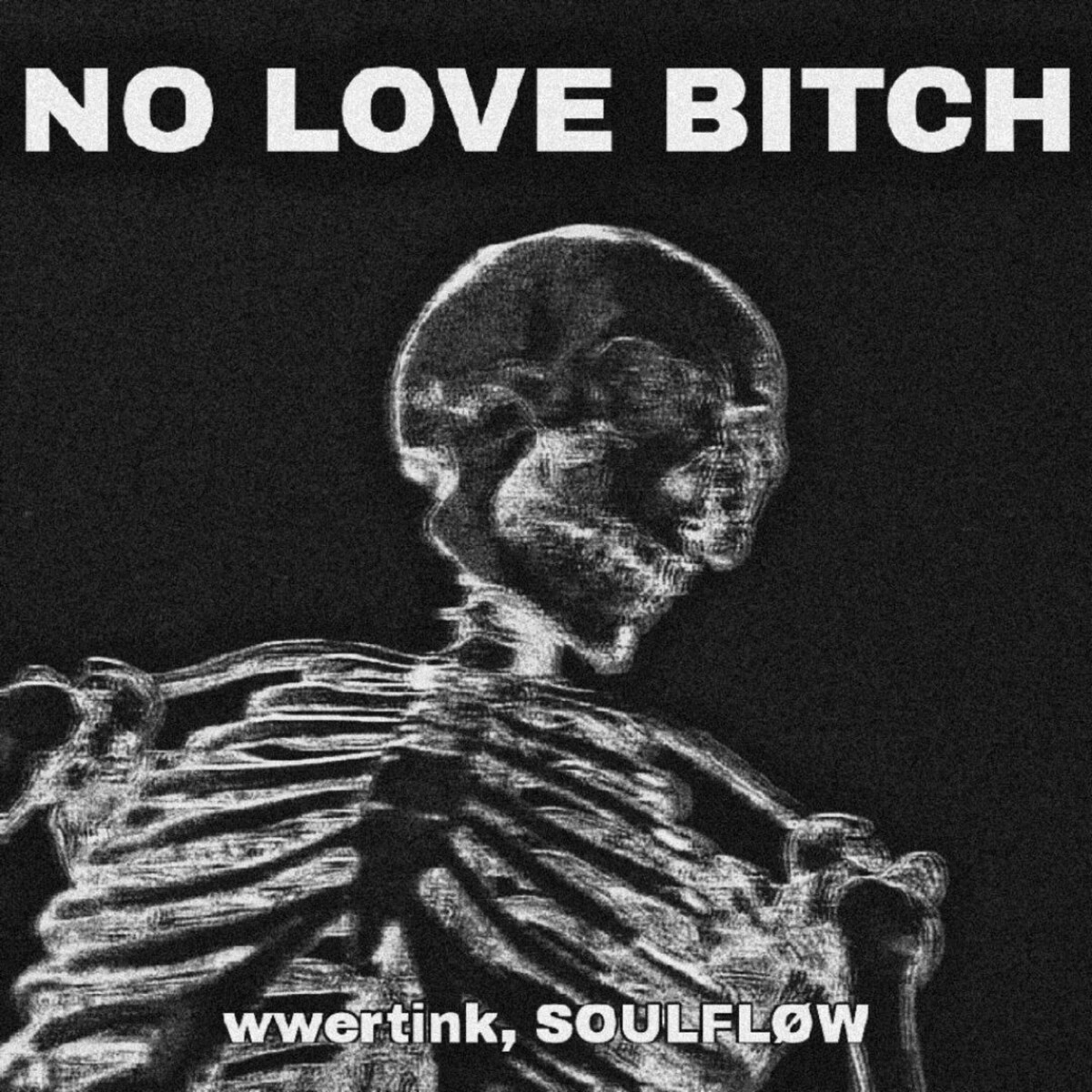 NO LOVE BITCH