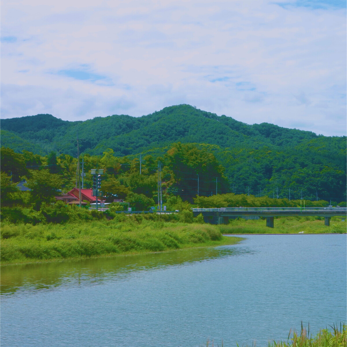 Natural Countryside