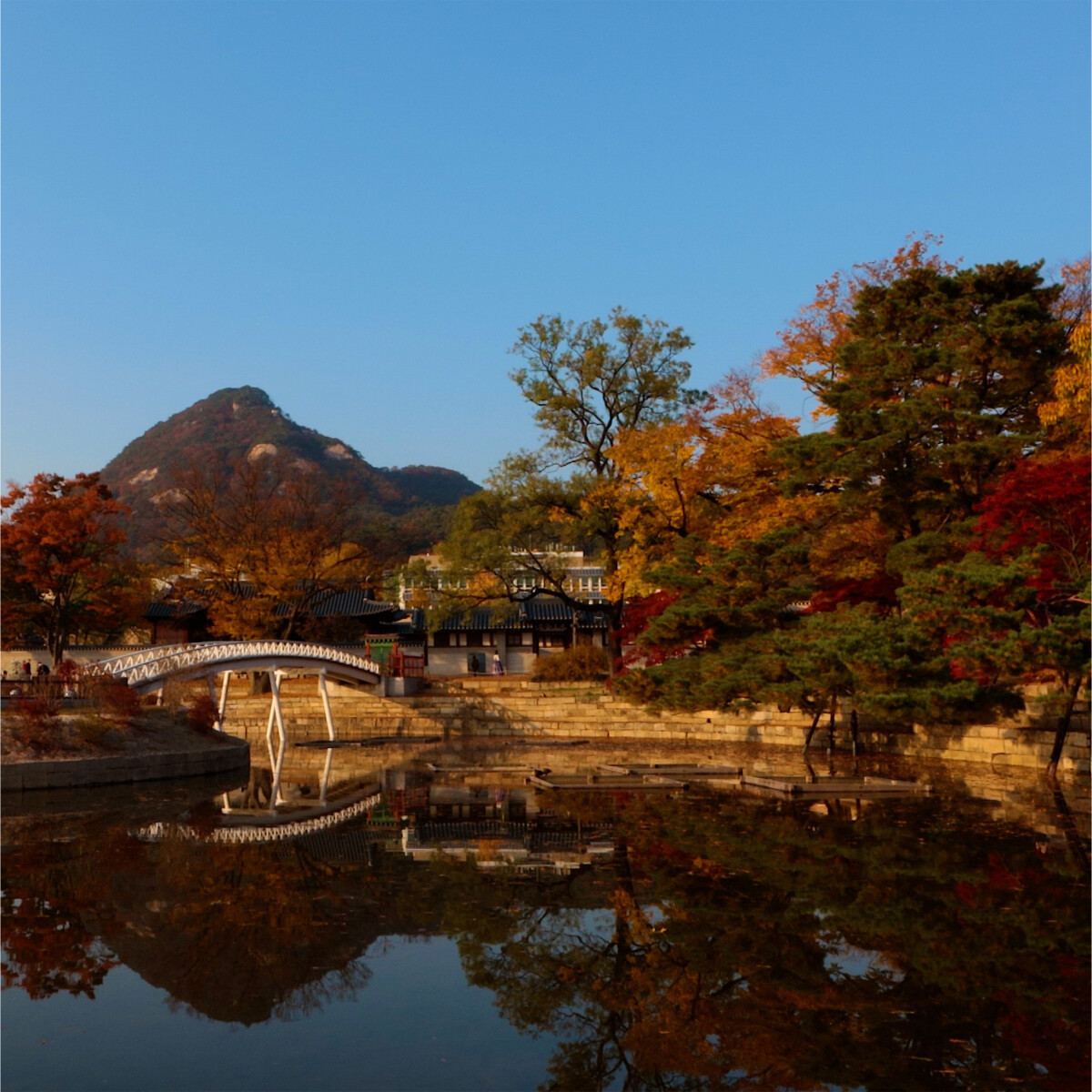 Fall Pond