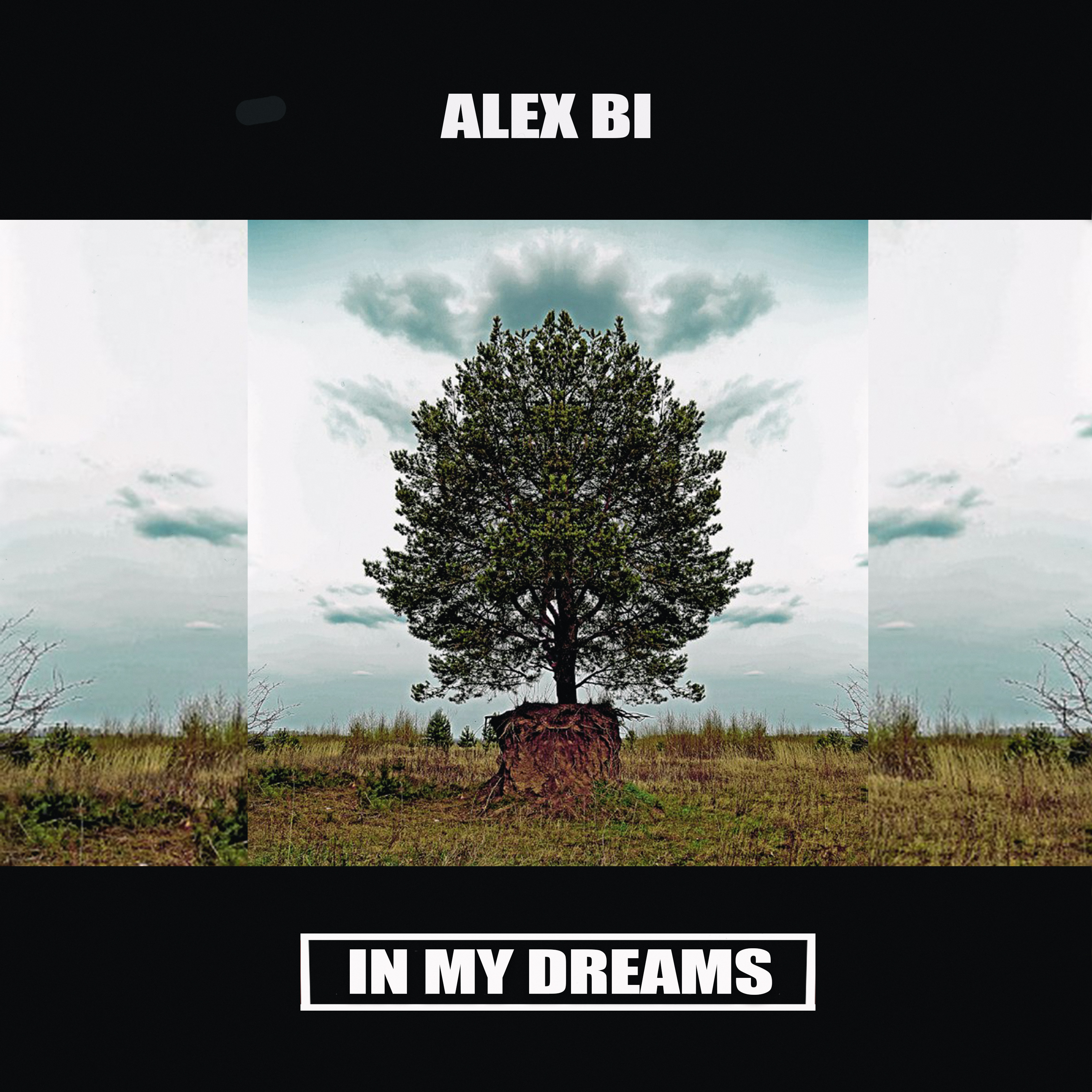 ALEX BI - In my dreams