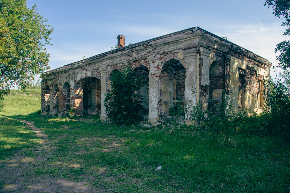 Окрестности Санкт-Петербурга летом