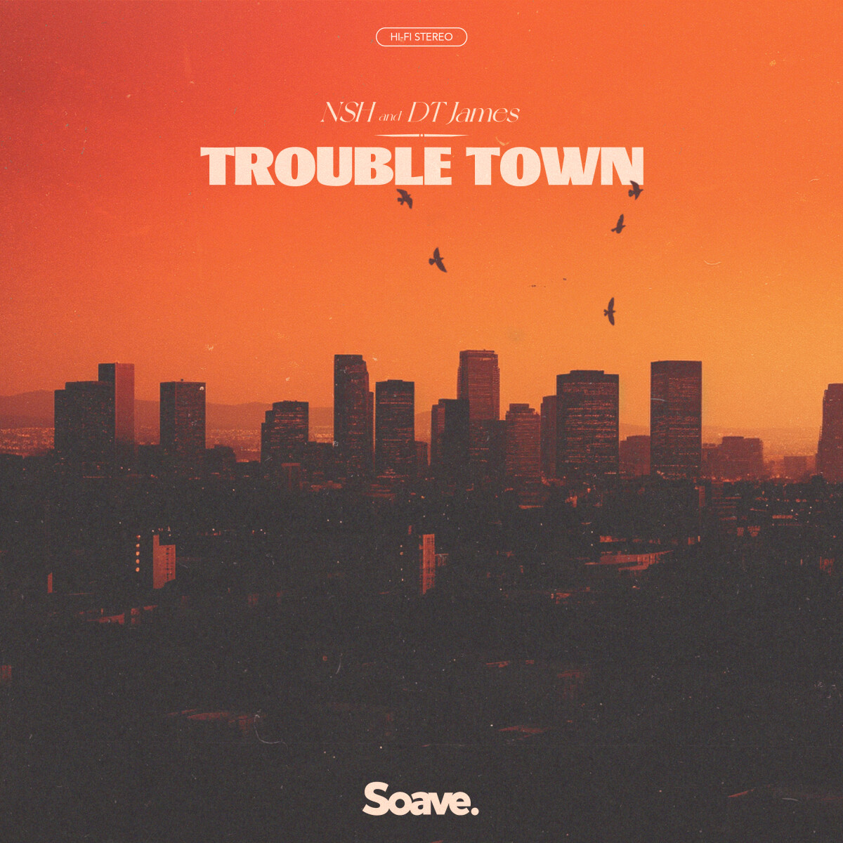 Trouble Town