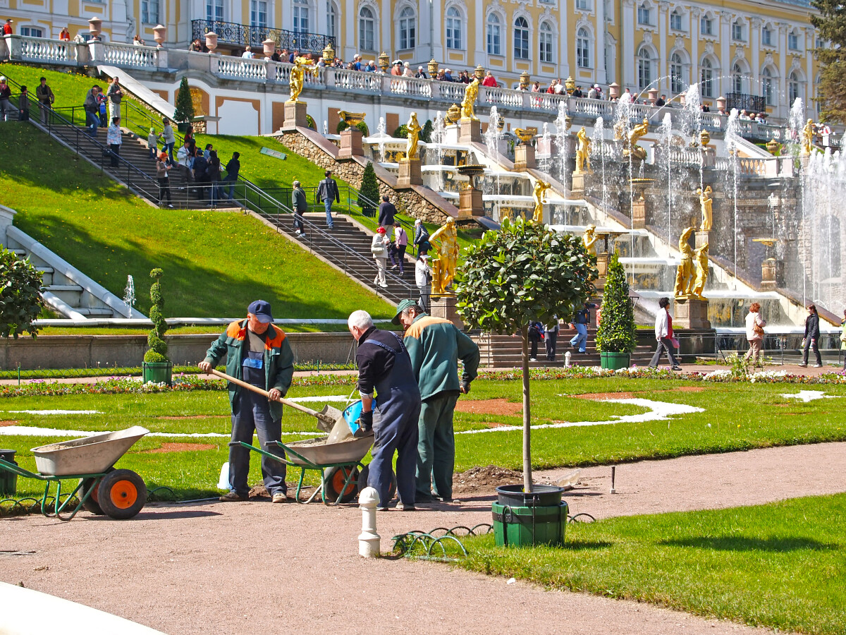 ПЕТЕРГОФ, РОССИЯ - 11 июня 2008 года: Ремонтные работы в Петергофском парке