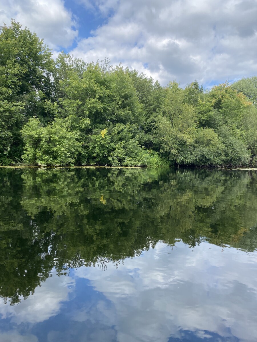 Водная гладь спокойной лесной реки