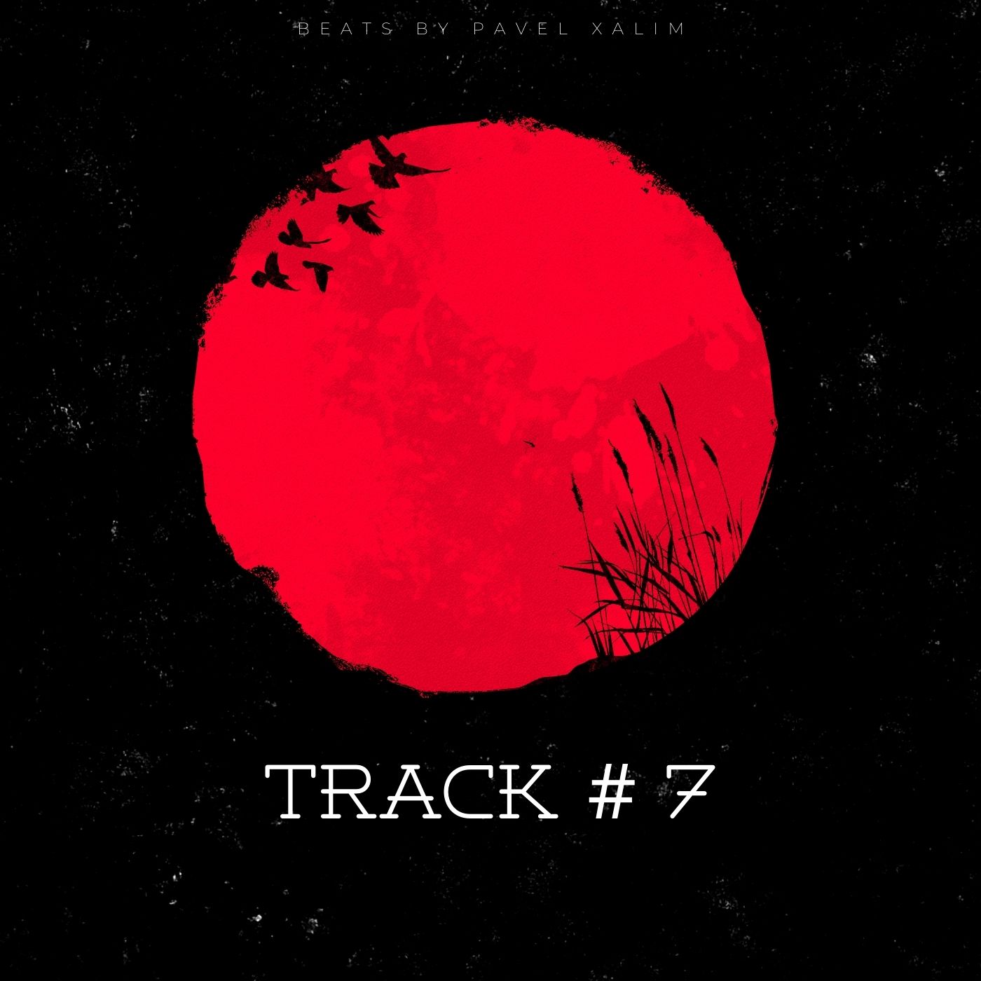 Track #7 "Red circle"