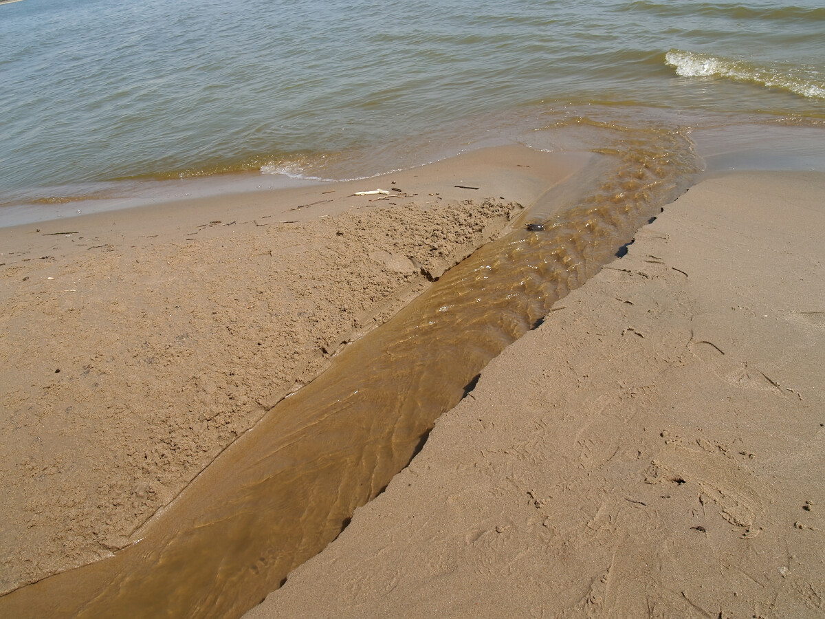 Ручей, впадающий в Куршский залив Балтийского моря