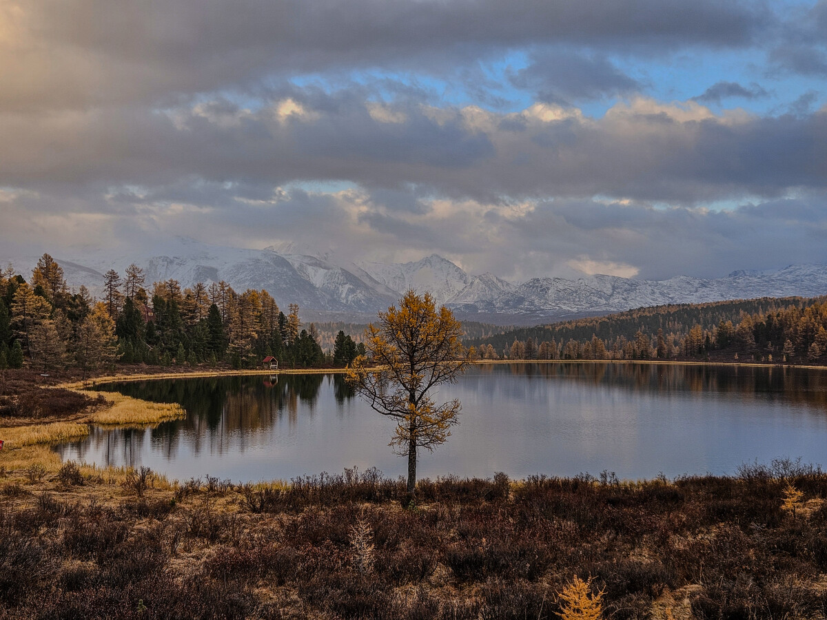 Россия, Республика Алтай, осенний пейзаж