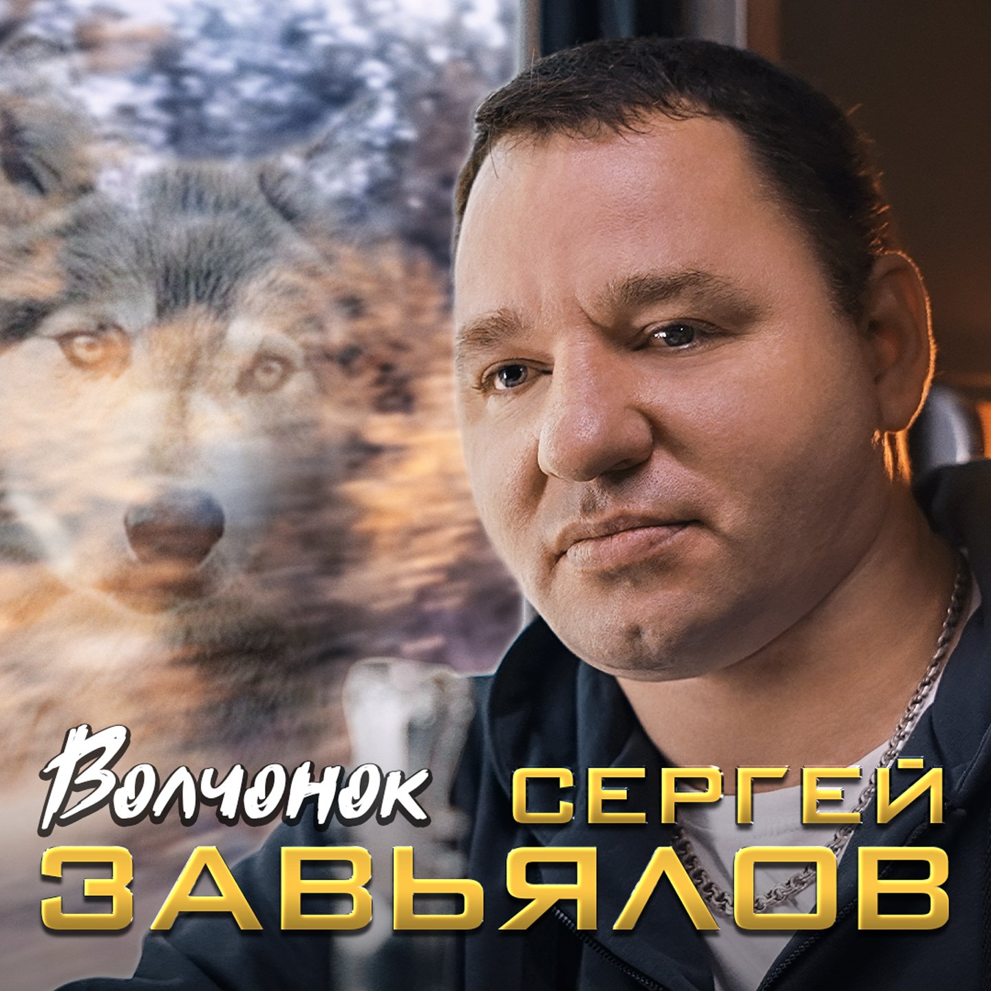 Волчонок