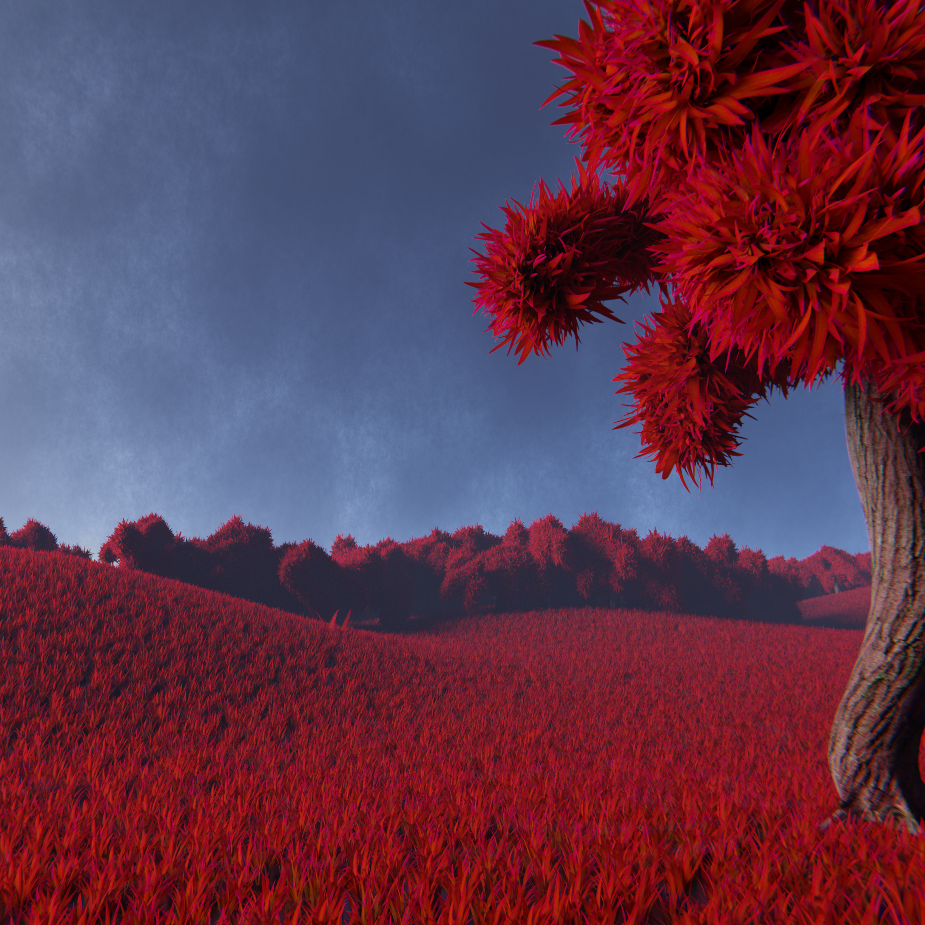 Red Trees