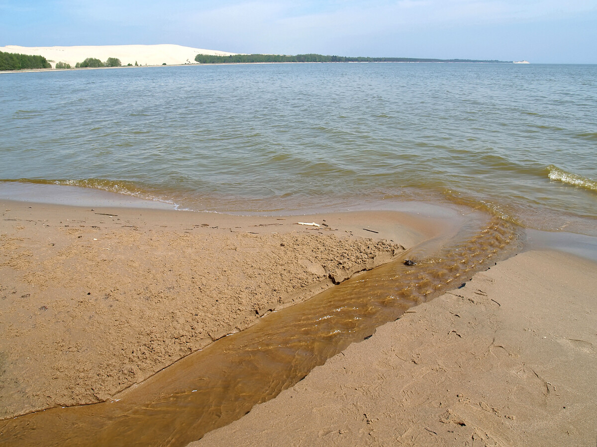 Ручей впадает в Куршский залив Балтийского моря