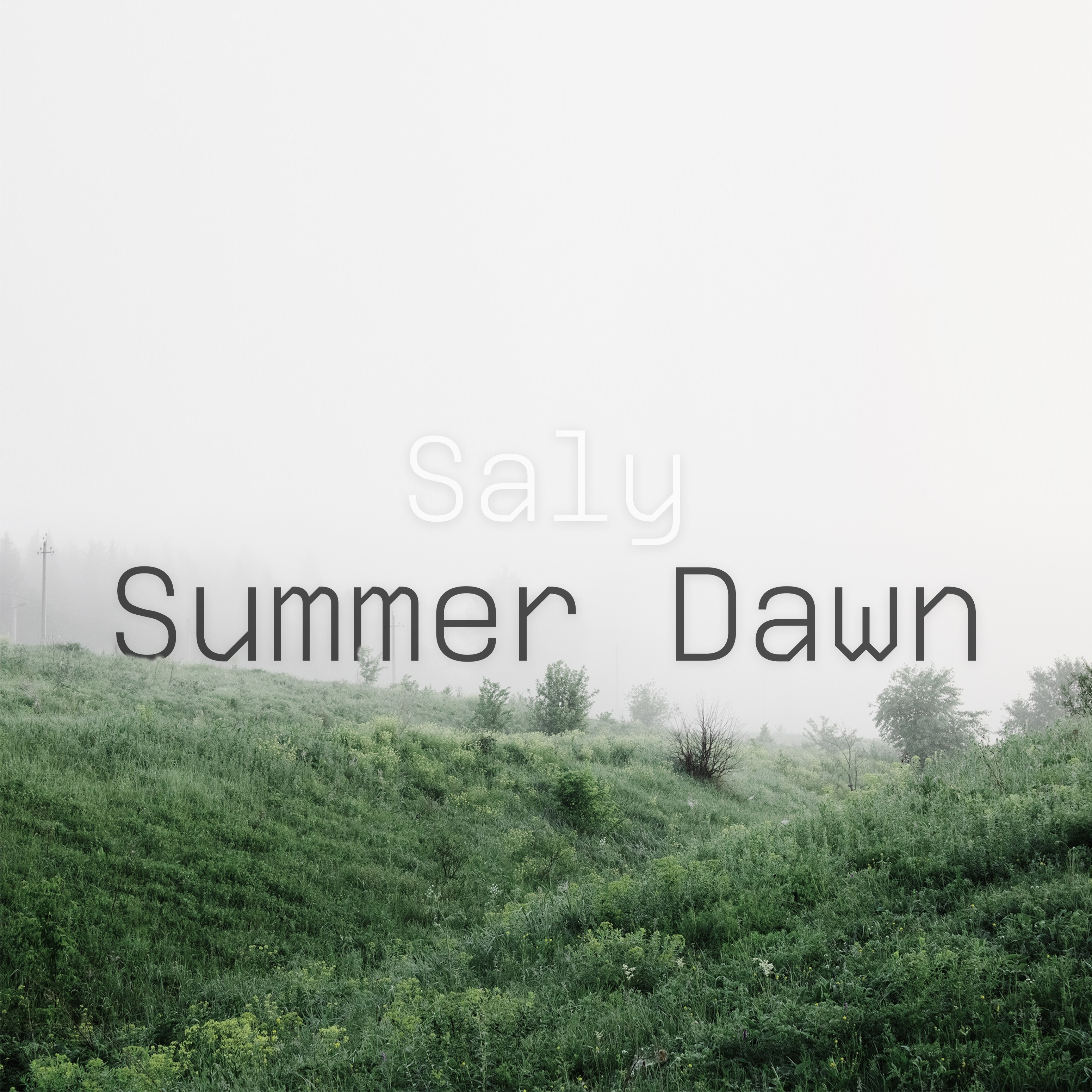 Summer Dawn