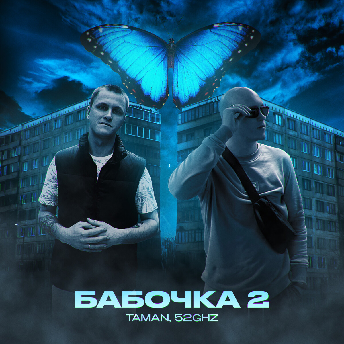 Бабочка 2