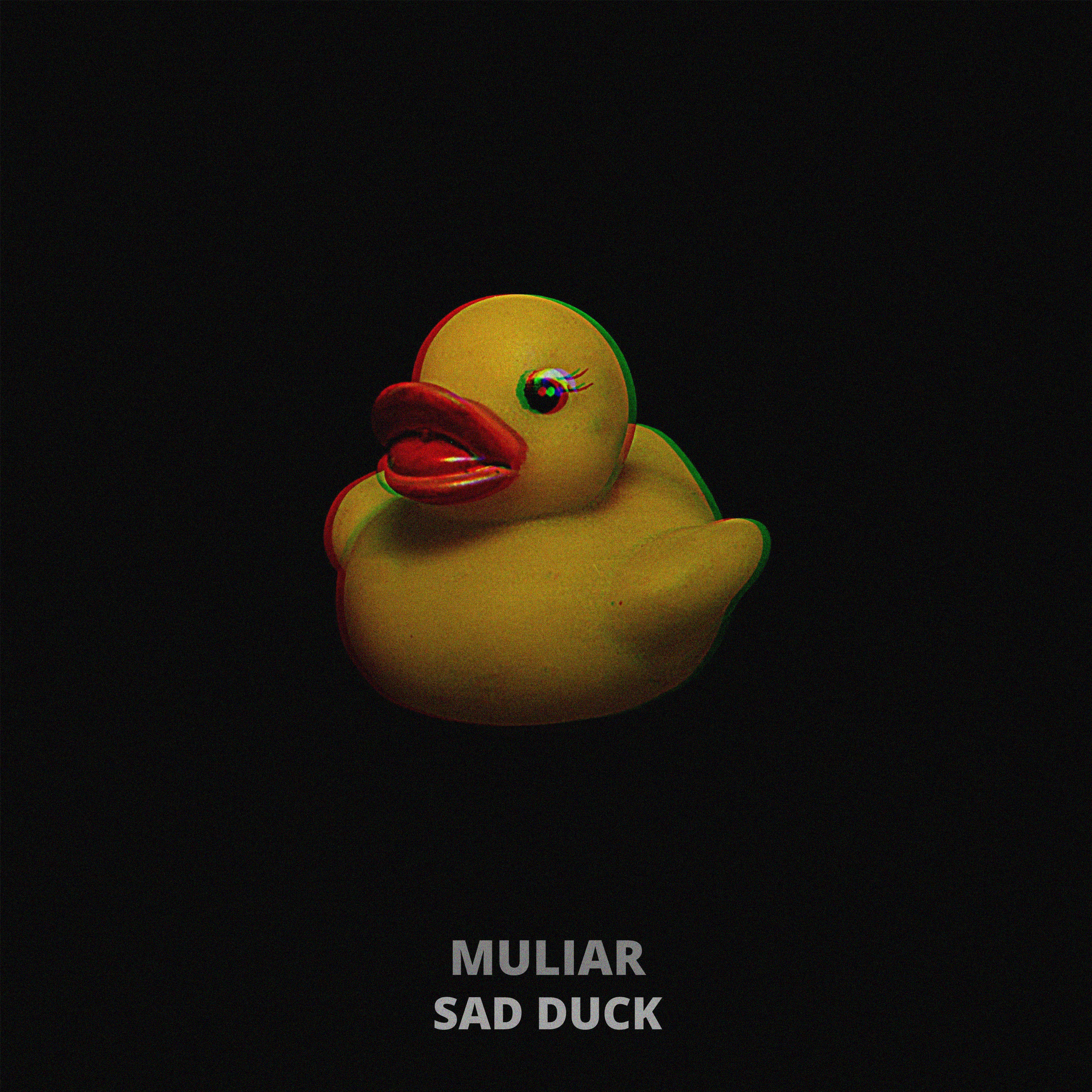 Sad Duck