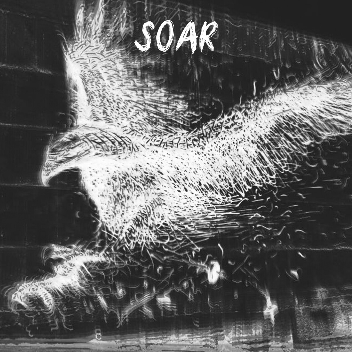 Soar