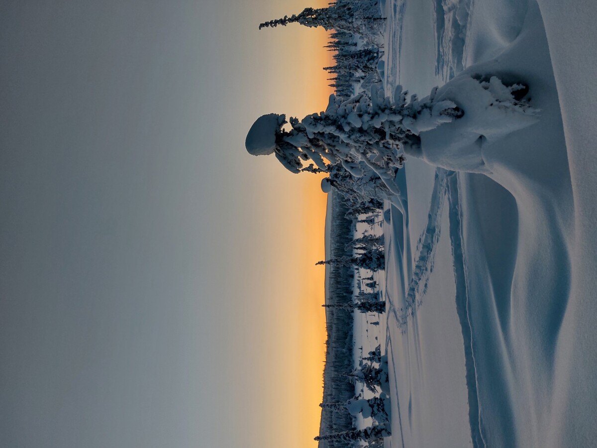 Раннее зимнее утро (городское поселение Кандалакша, Мурманская область)