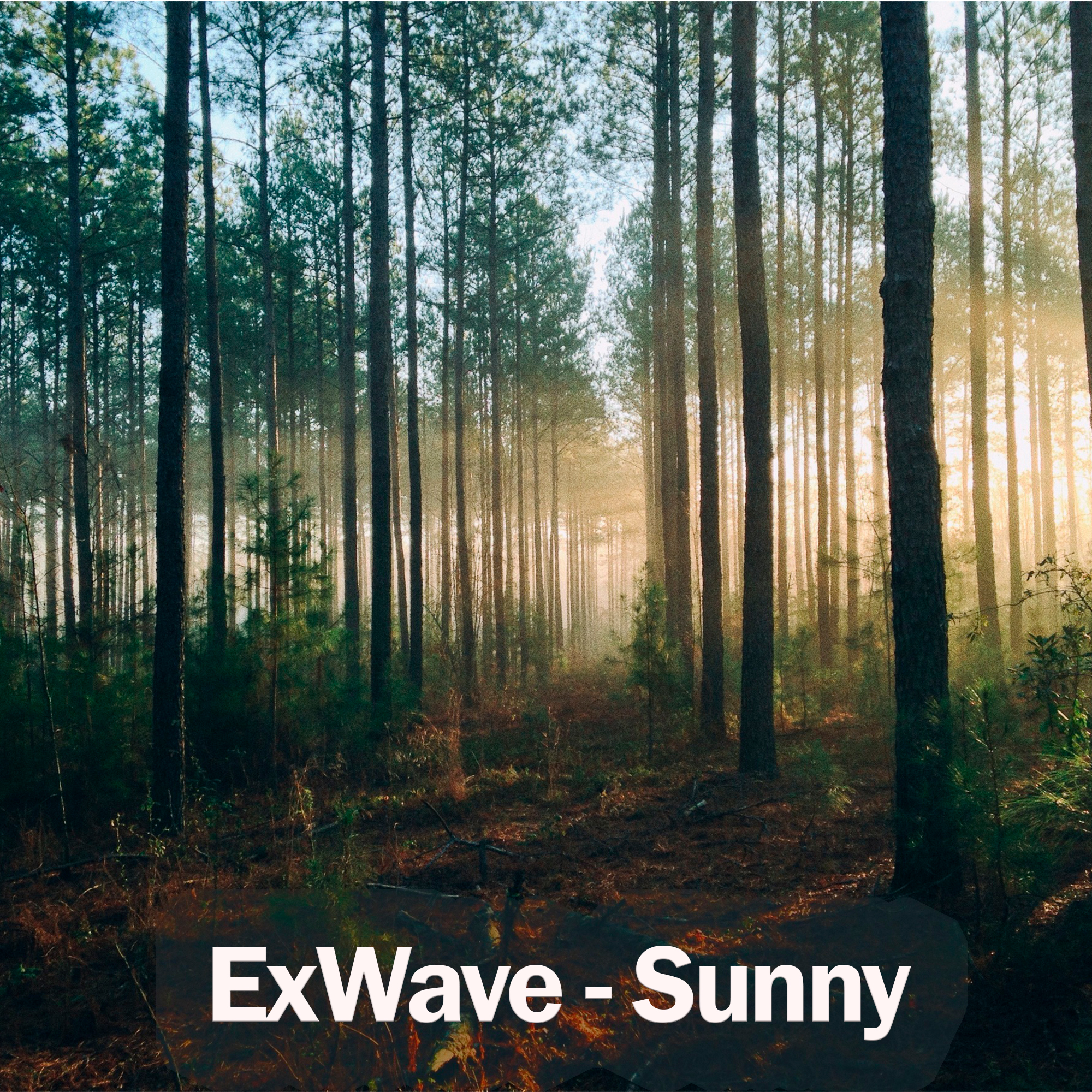 ExWave - Sunny