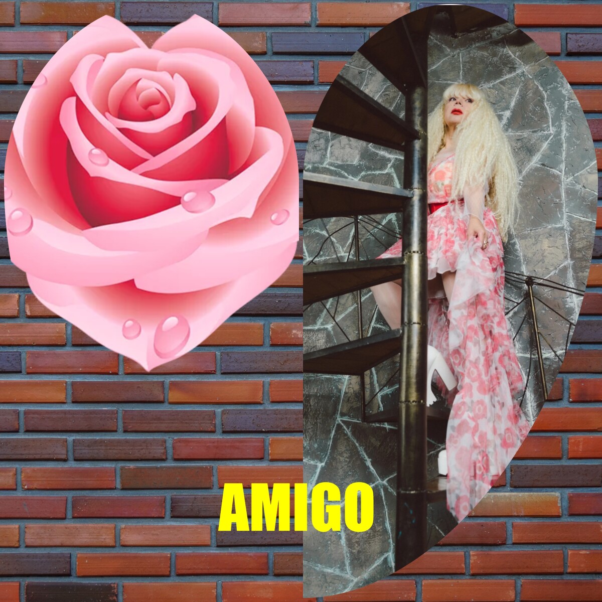 AMIGO