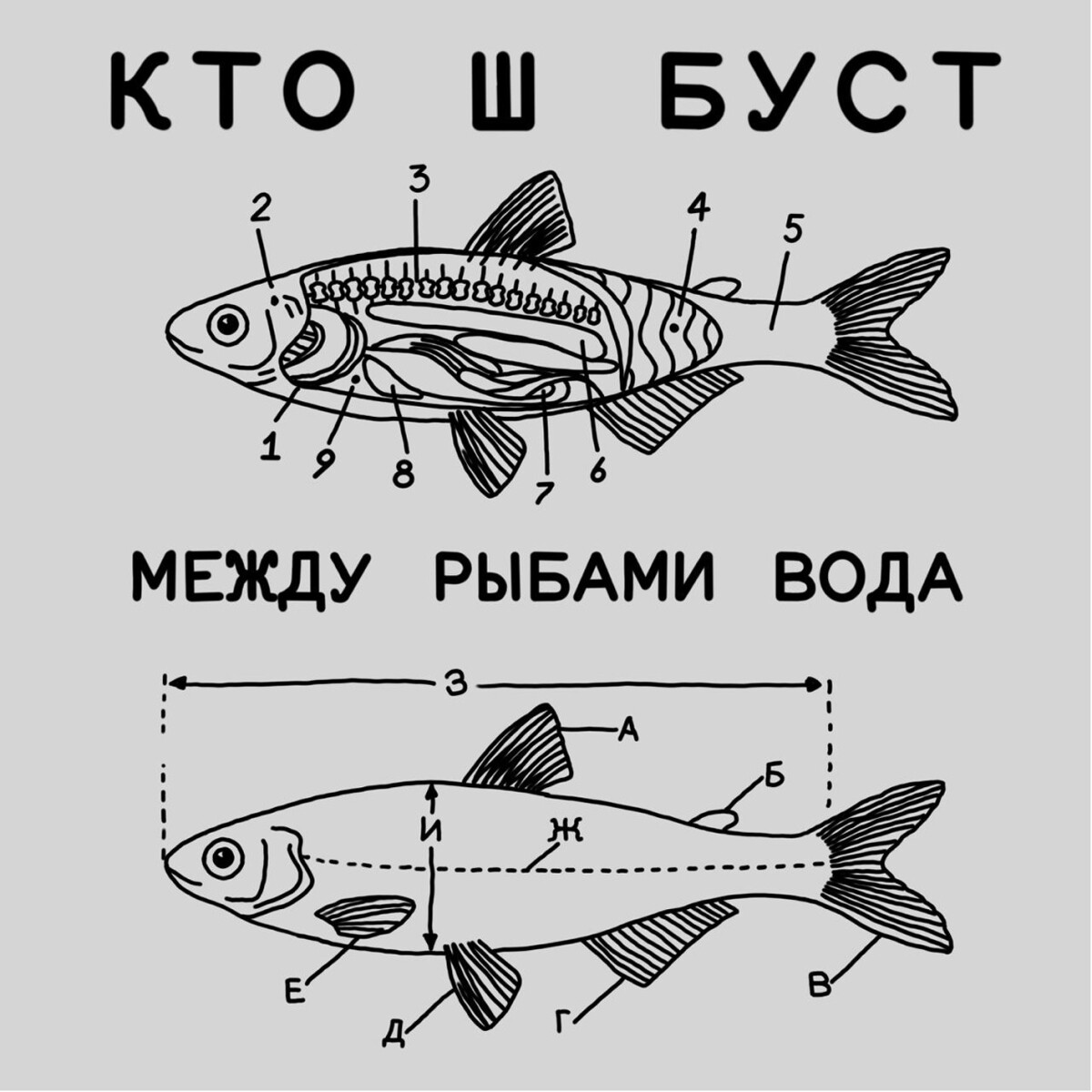 Между рыбами вода