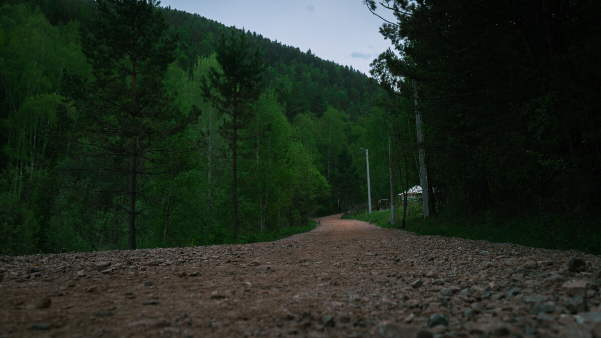 Дорога в лесную чащу