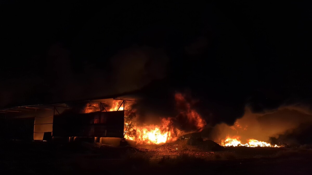 Burning industrial building. Big blaze at night