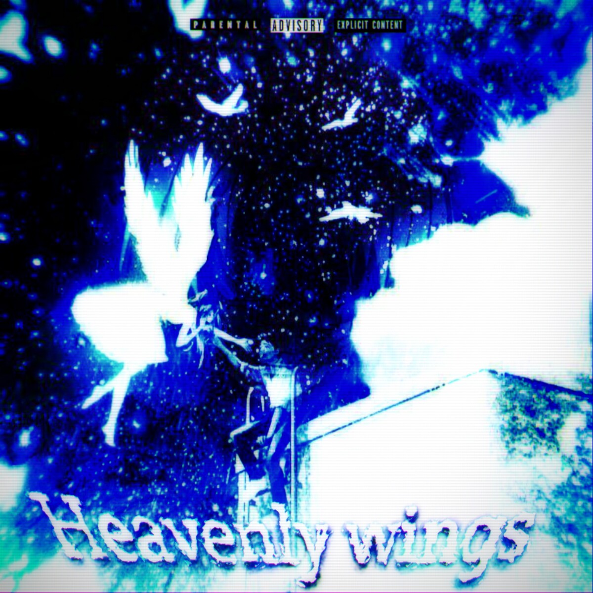 Heavenly Wings