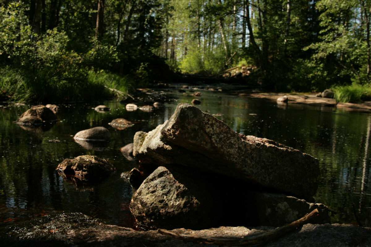 Лес, вода, камни