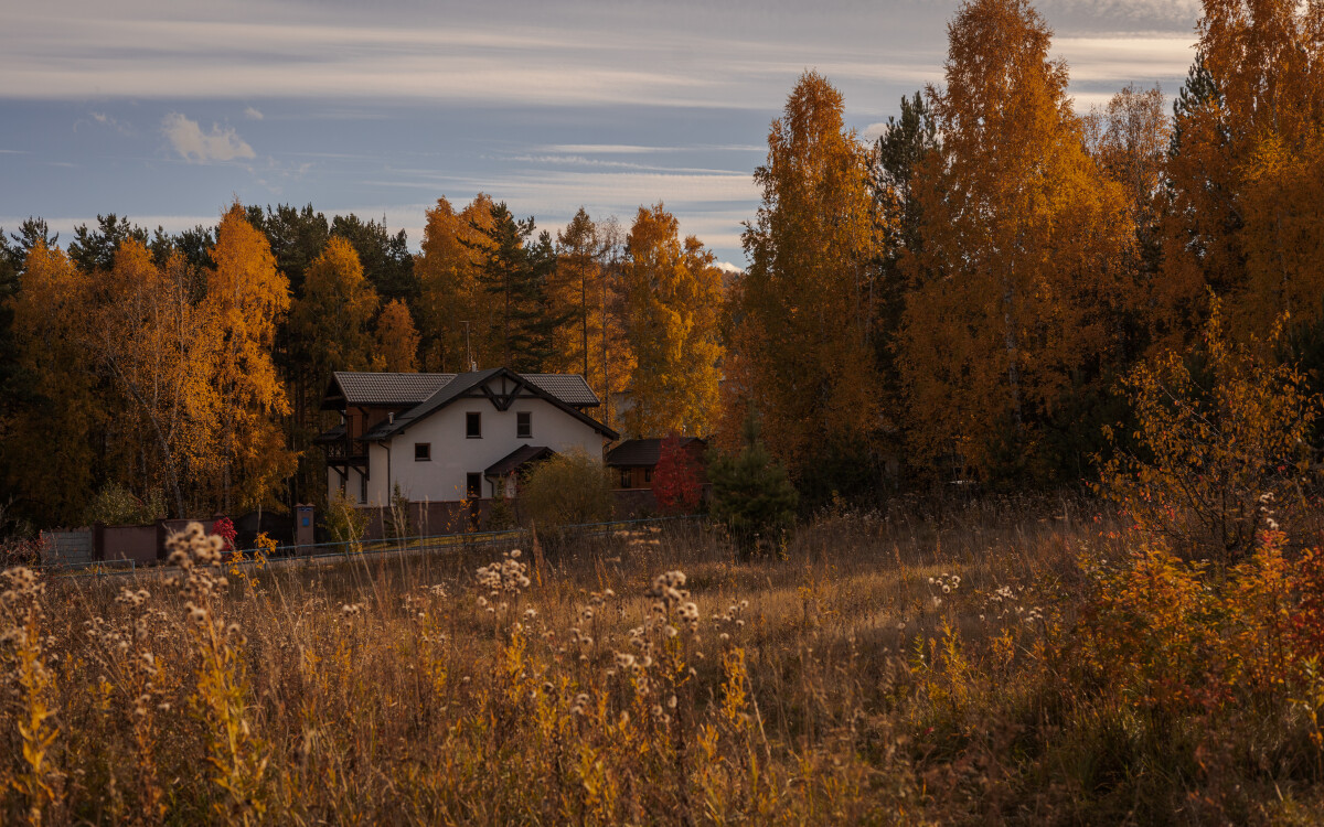 Домик в глуши