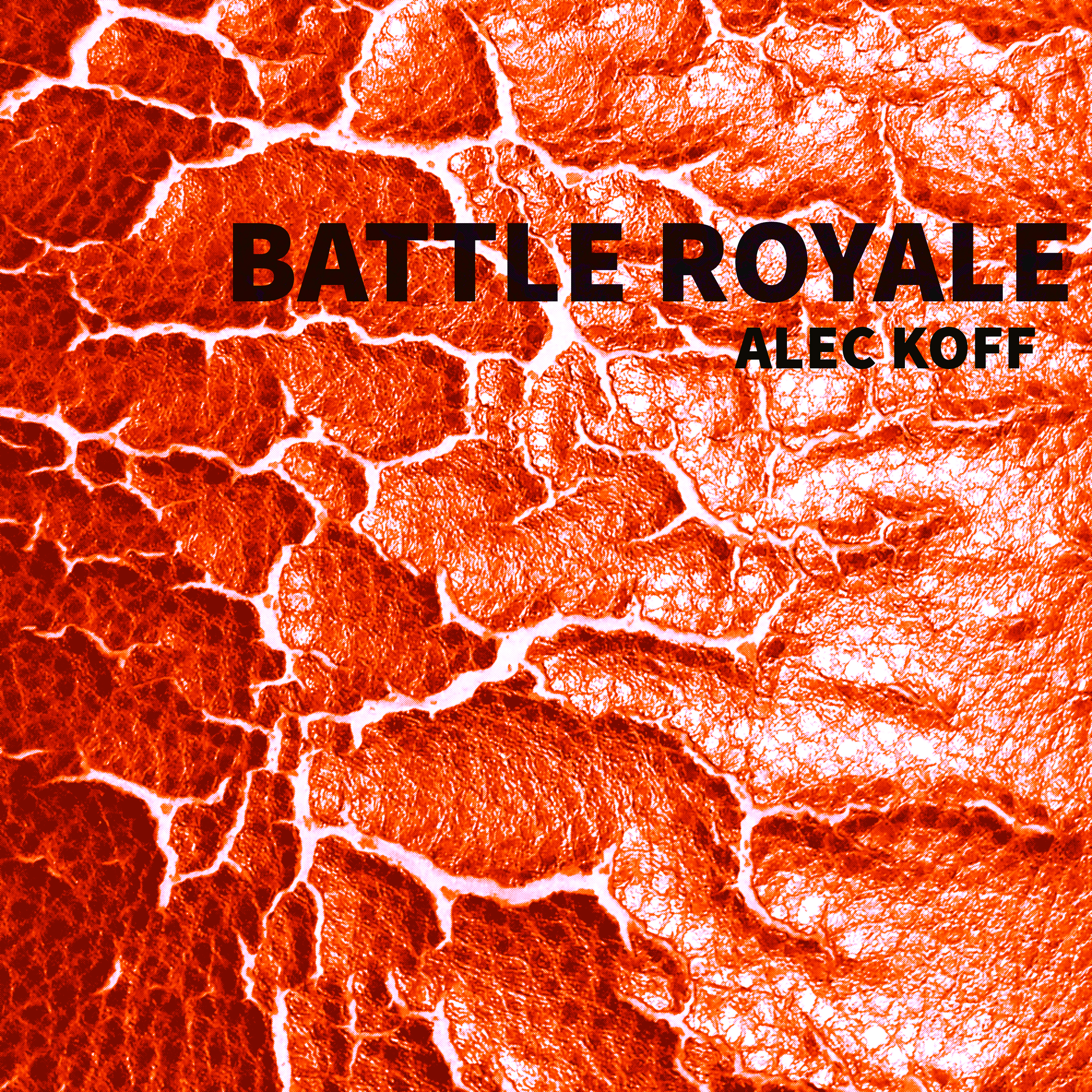 Battle Royale