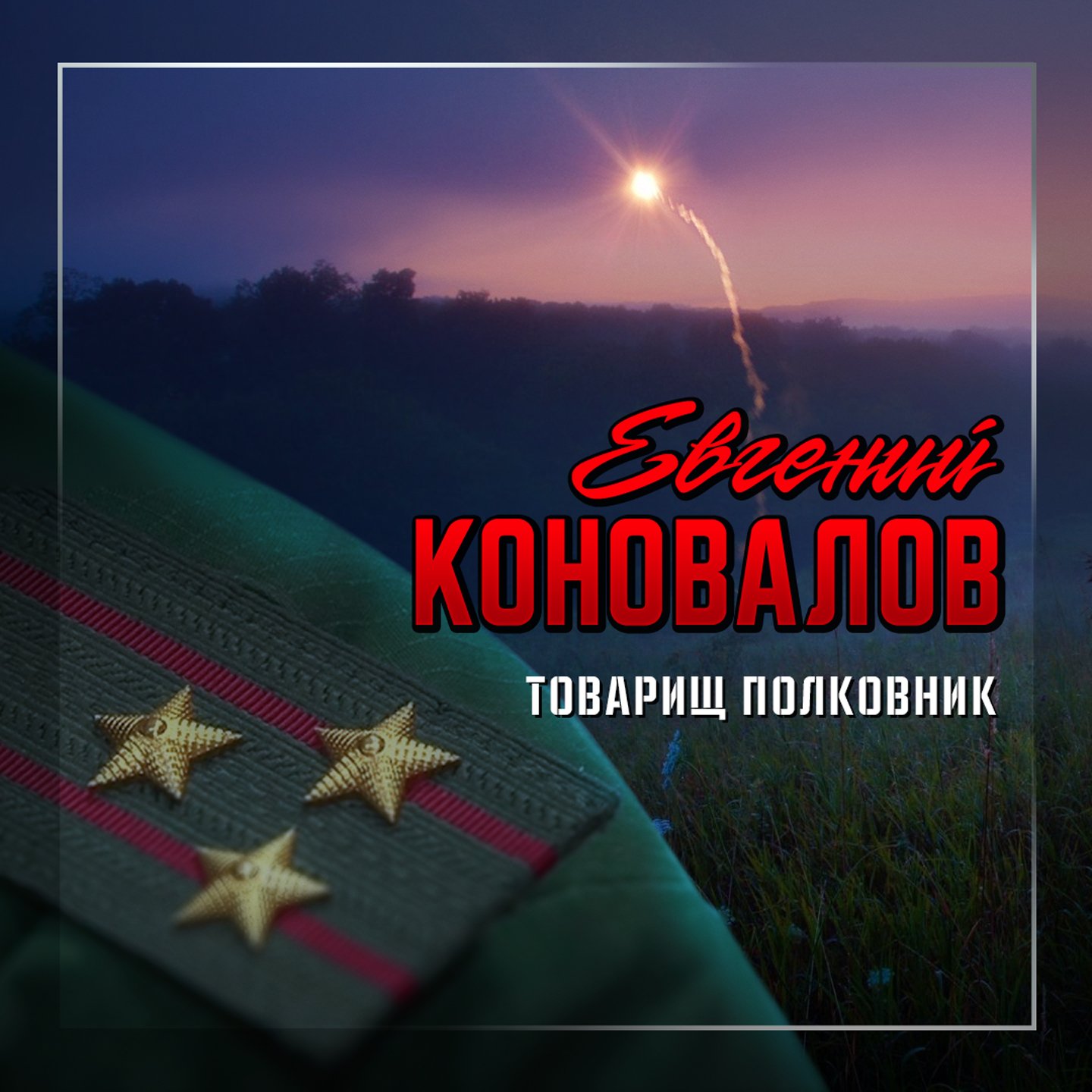 Товарищ полковник