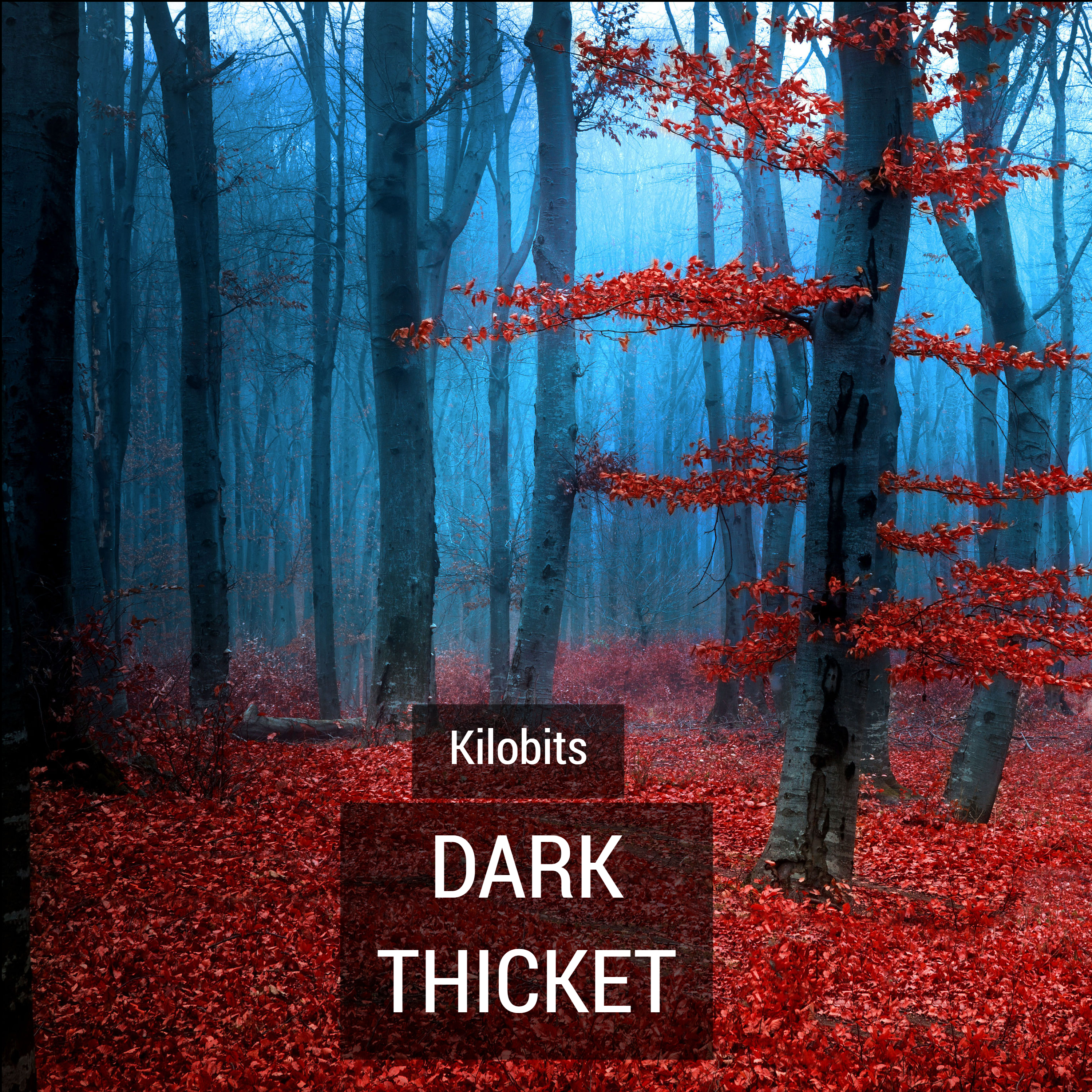 Dark Thicket