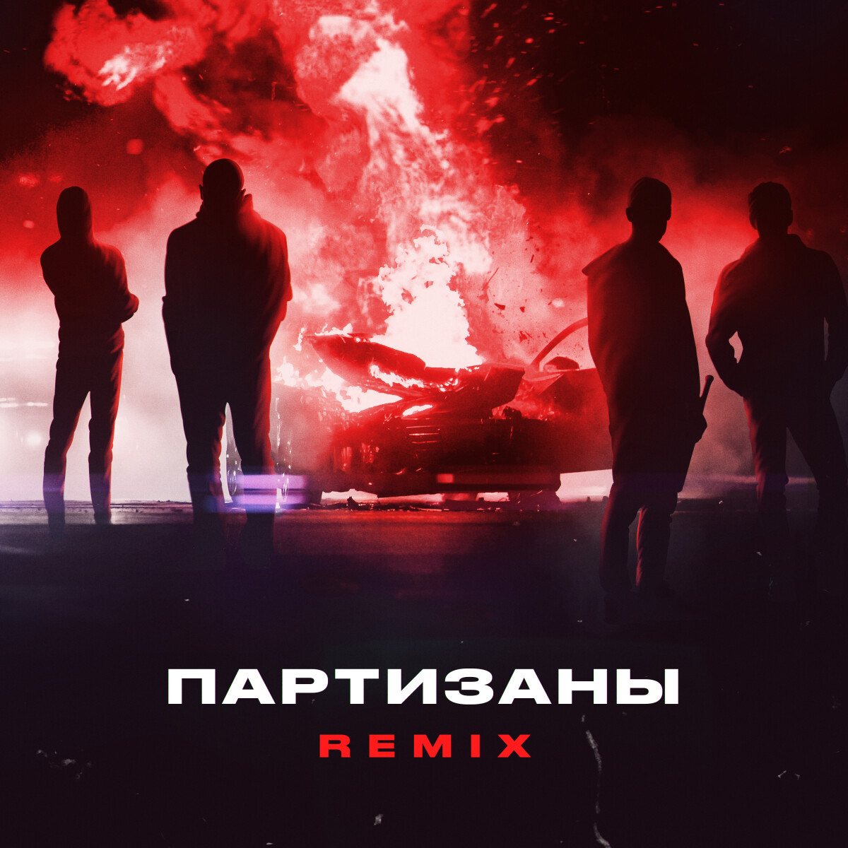 Партизаны (Remix)