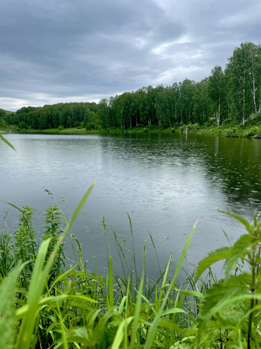 Лесное озеро во время дождя