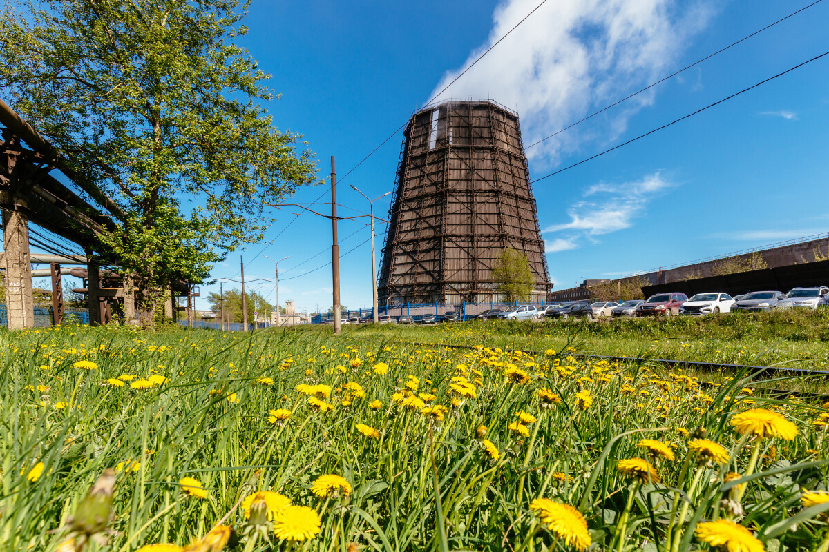 Dandelion field and cooling towers of metallurgical factory