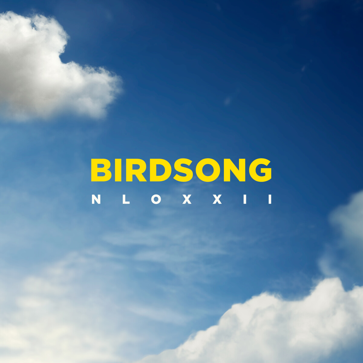 Birdsong