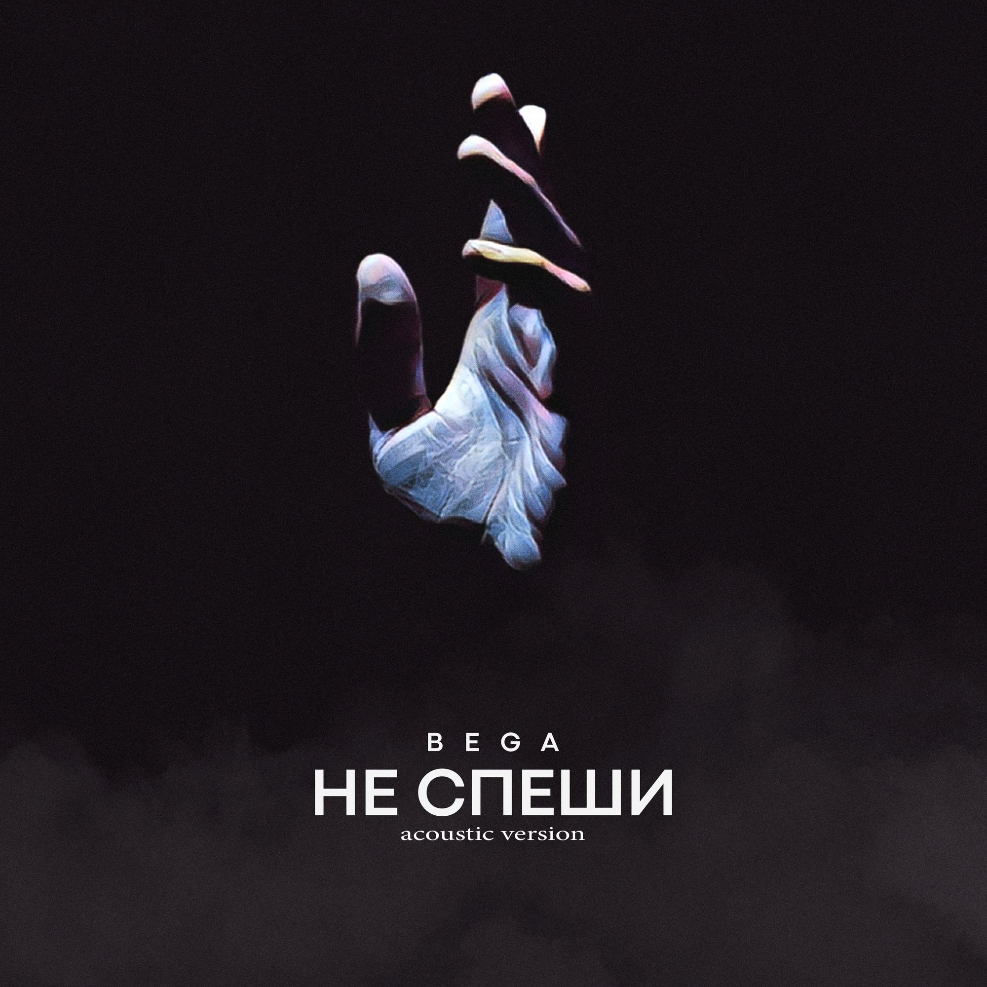 Не спеши (acoustic version)