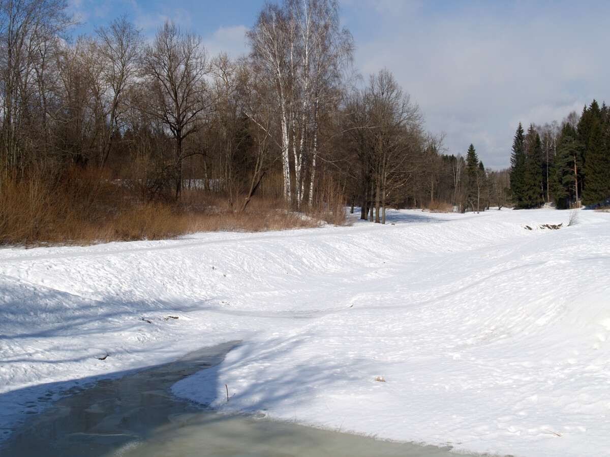 Павловск. Зимний парк