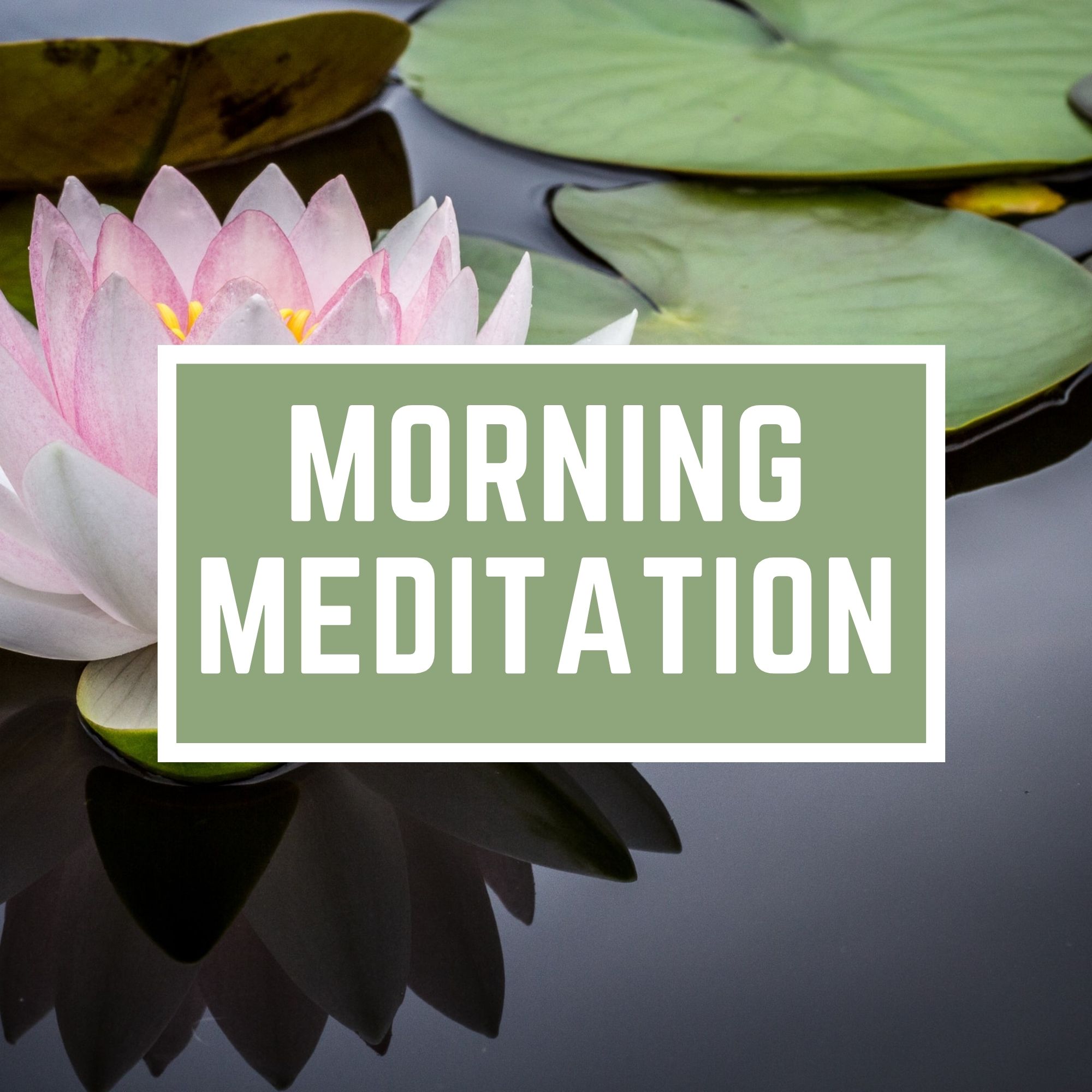 Morning meditation «Lotus Flower»