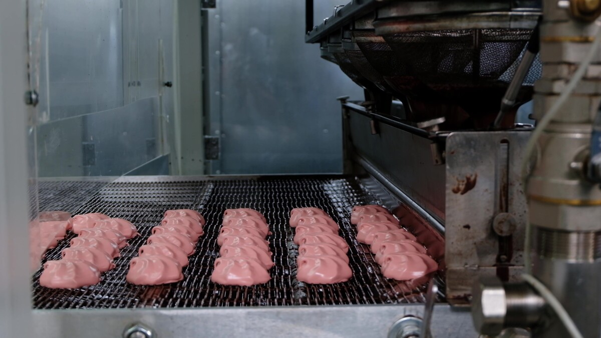 Process of chocolate glazing marshmallows in confectionery on conveyor machine