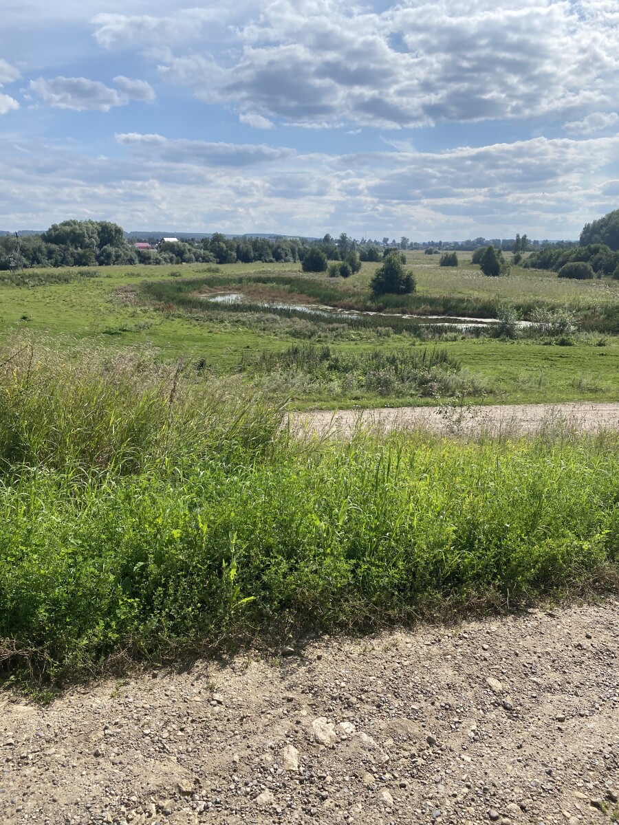 Заросший пруд в русской деревне