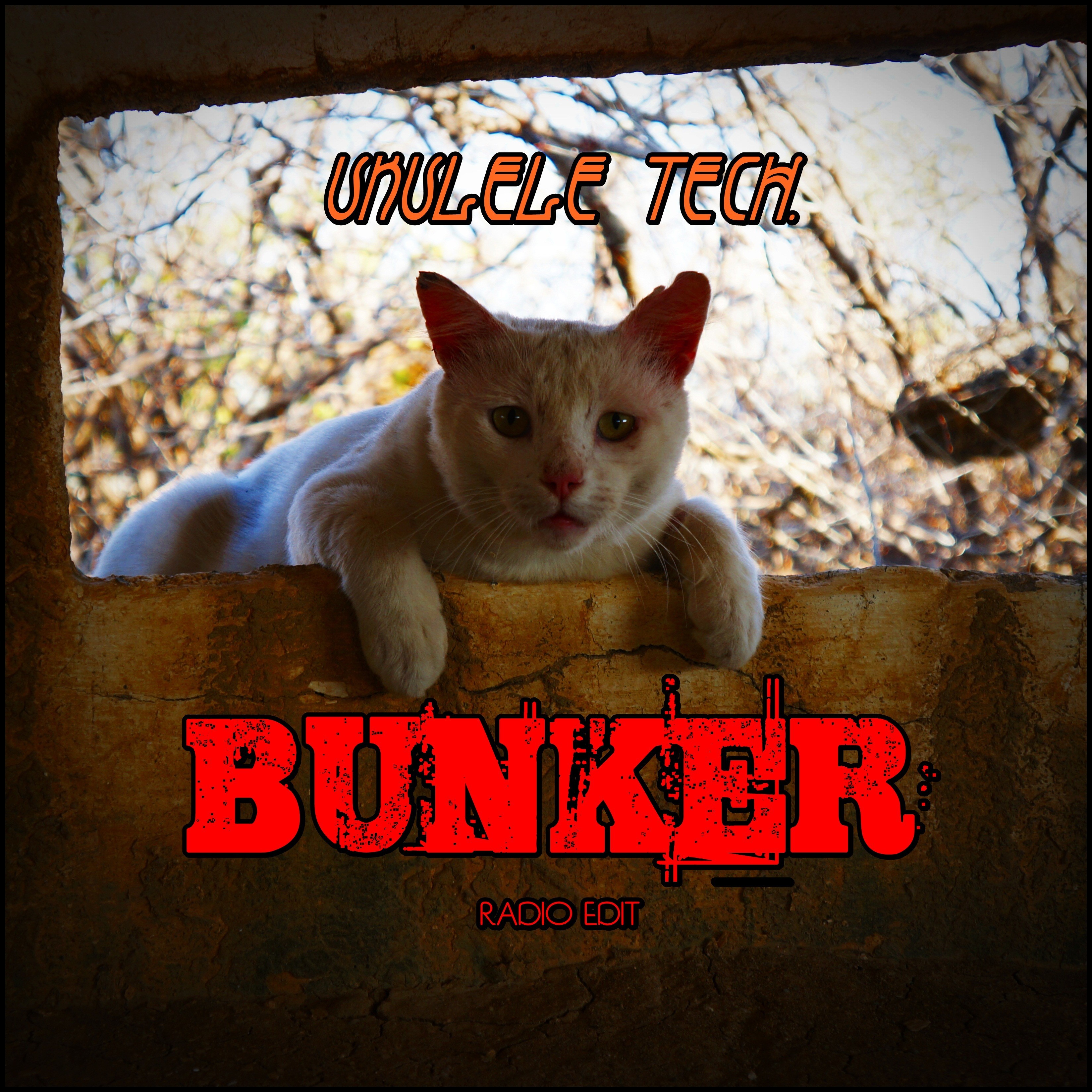 Bunker (Radio Edit)