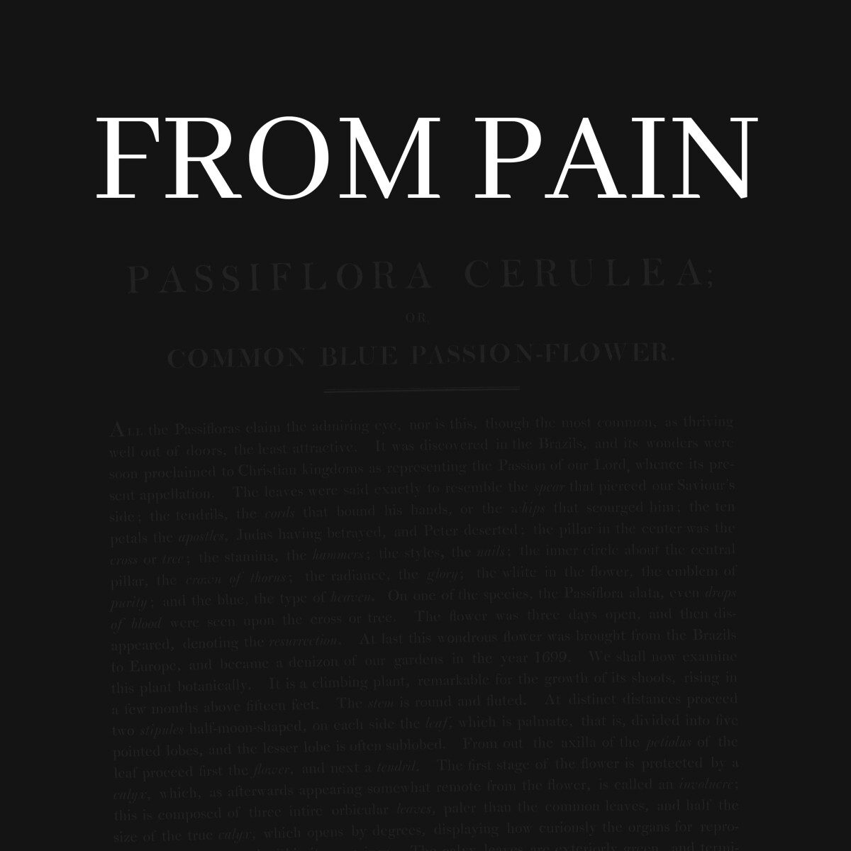 From Pain the Prequel