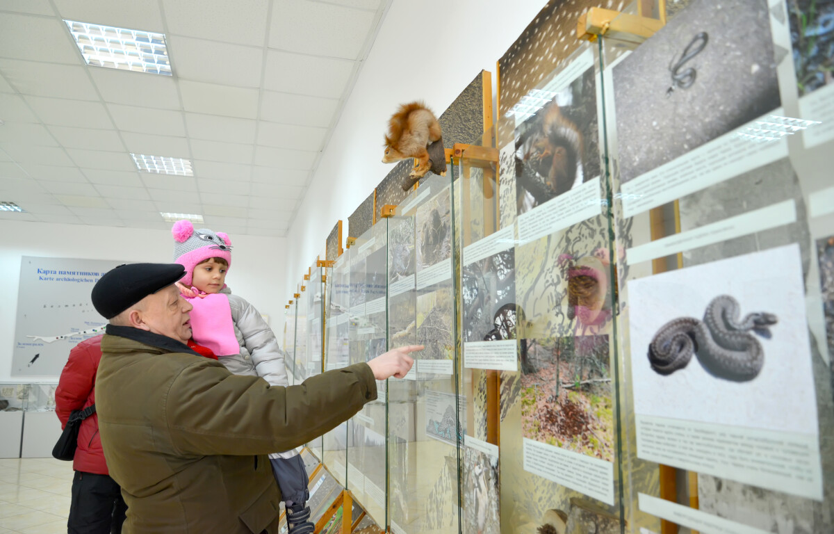 КАЛИНИНГРАДСКАЯ ОБЛАСТЬ, РОССИЯ - 15 февраля 2015 года: Пожилой мужчина показывает своей внучке фотографии животных в зале природы. Визит-центр "Музейный комплекс национального парка "Куршская коса"".