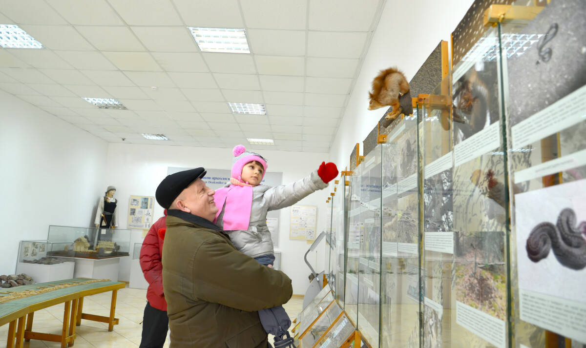 КАЛИНИНГРАДСКАЯ ОБЛАСТЬ, РОССИЯ - 15 февраля 2015 года: Дедушка и внучка смотрят на чучела белок в зале природы. Визит-центр "Музейный комплекс национального парка "Куршская коса"".