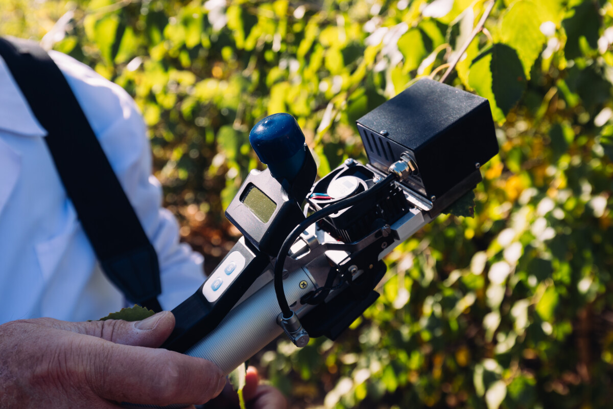 Scientist measuring plant photosynthesis by using portable device in plant nursery