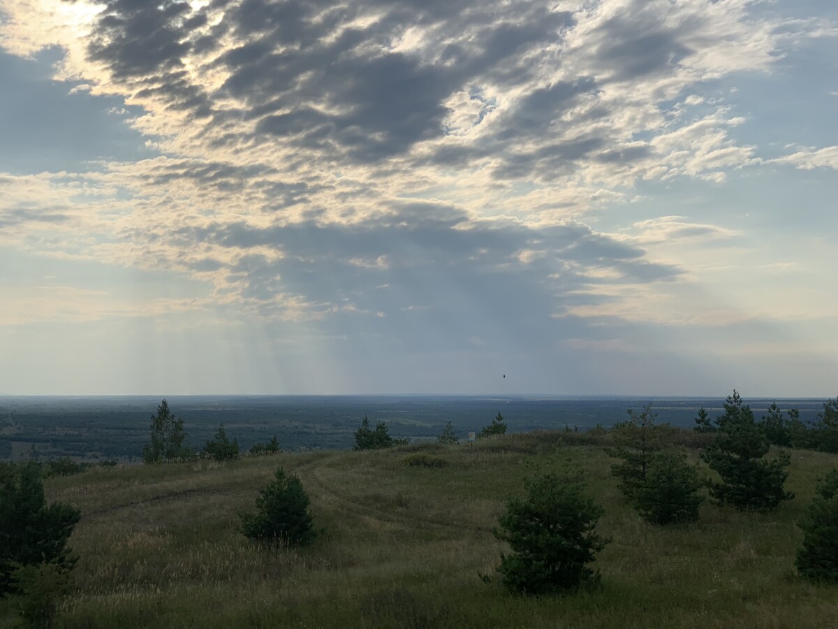 Русское поле