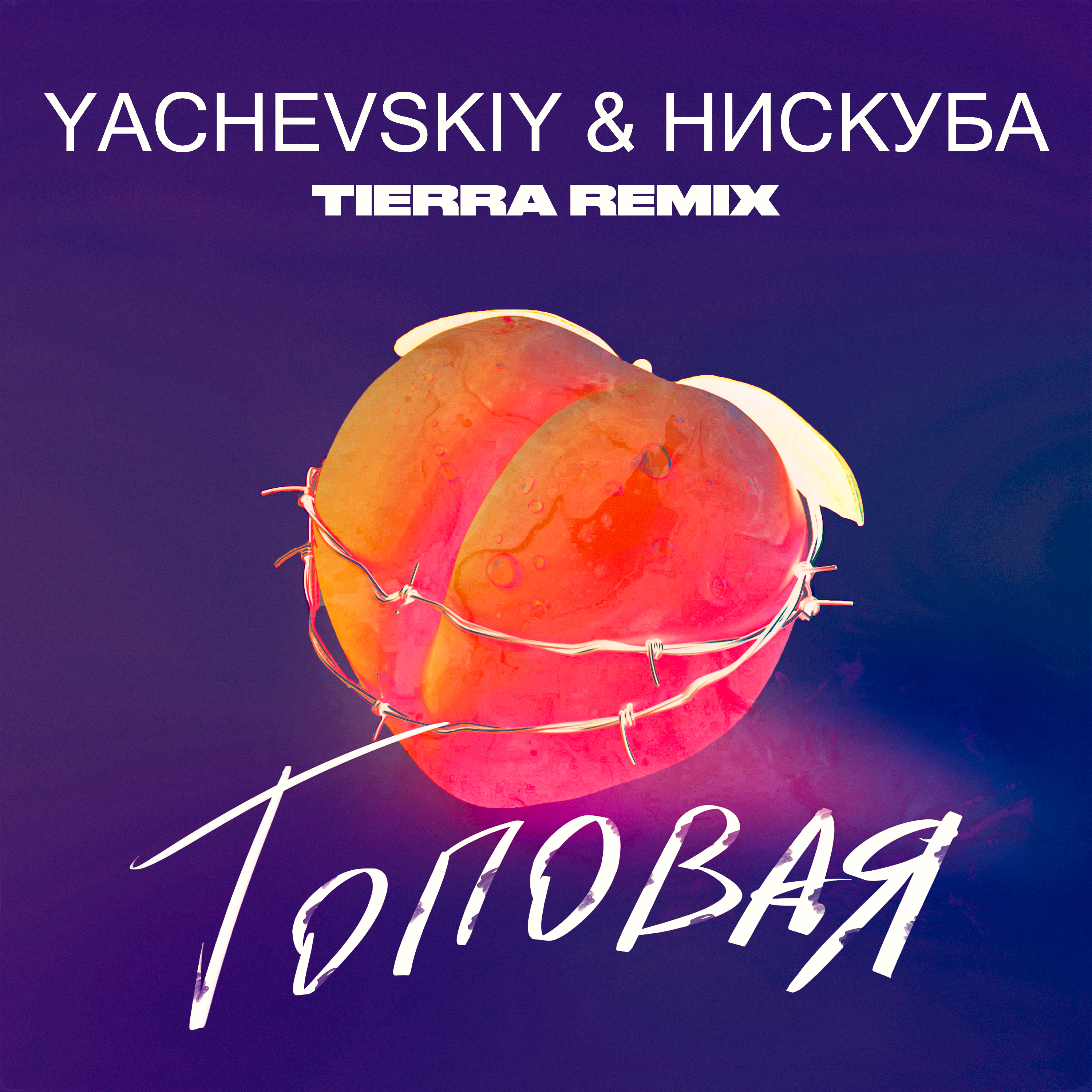 Топовая (TIERRA Remix)