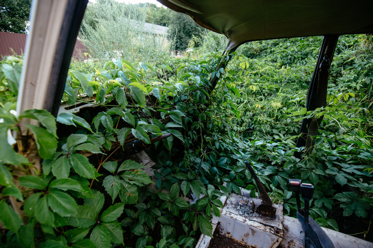 Old broken car overgrown by plants with bullet holes