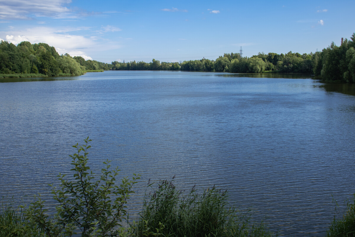 Широкая река летом в деревне